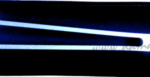 NERVY 50 Hz: